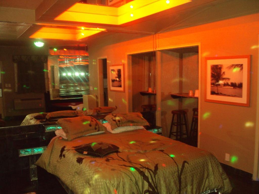 מיאמי ספרינגס Hialeah Executive Motel חדר תמונה